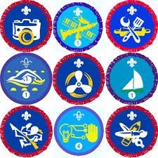 District Badge Stock